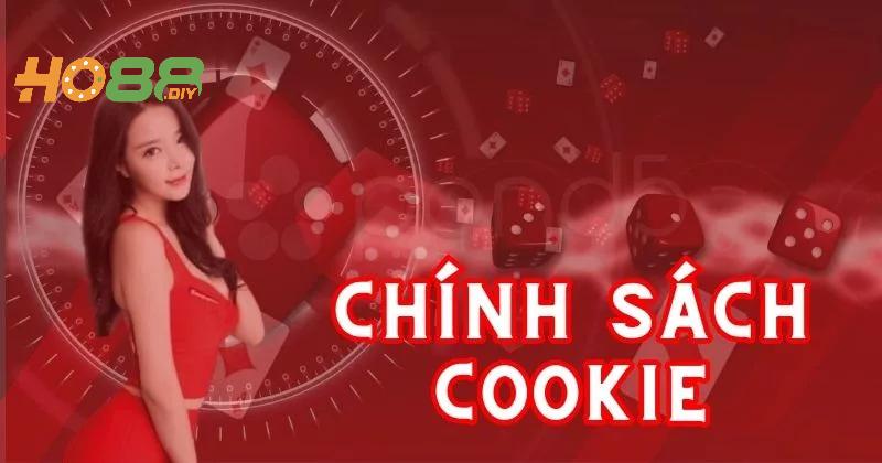 Chính sách cookie Ho88 hỗ trợ người chơi tối ưu