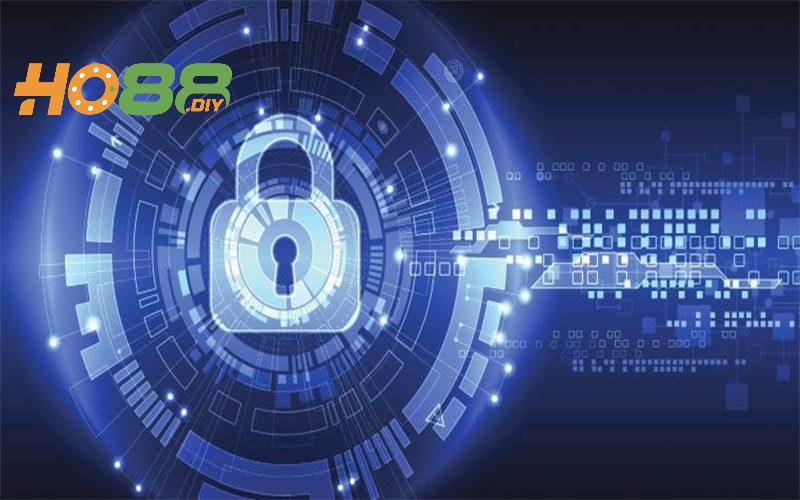 Nắm rõ lưu ý khi tham gia Ho88 mang đến trải nghiệm an toàn